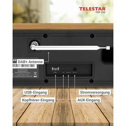 Telestar TOP 250 Holz 5701250 internetové přenosné rádio, DAB+, internetové, FM, Wi-Fi, USB, FM, internet, DAB+, Bluetooth, dřevo