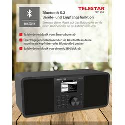 Telestar TOP 250 Schwarz 5700250 internetové přenosné rádio, DAB+, internetové, FM, černá