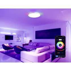 Sygonix SY-6779492 LED stropní svítidlo LED LED Energetická třída (EEK2021): F (A - G) 16.8 W bílá