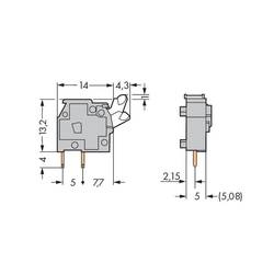 WAGO 255-743/999-950 pružinová svorkovnice 2.50 mm² Pólů 1 světle šedá 500 ks