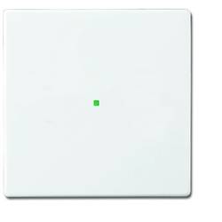 Busch-Jaeger 1násobné kryt free@home dopravní bílá, bílá 2CKA006220A0034 1 ks