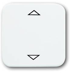 Busch-Jaeger 6430-214-102 2CKA006430A0314 vstupní modul Ve tvaru šipky (š x v) 54 mm x 54 mm ↑/↓ bílá, čistě bílá (RAL 9010) 1 ks Piece