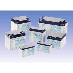 Yuasa NPC24-12 NPC24-12 olověný akumulátor 12 V 24 Ah olověný se skelným rounem (š x v x h) 175 x 125 x 166 mm šroubované M5 bezúdržbové, odolné proti více