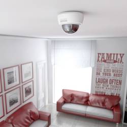 Basi 1000-0305 Atrapa kamery s blikající LED diodou