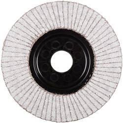 Rhodius 210476 LGA ALU vějířovitý brusný kotouč Průměr 125 mm Ø otvoru 22.23 mm Zrnitost 60 neželezné kovy 1 ks