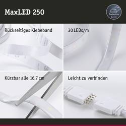 Paulmann 79877 LED pásek základní sada konektor 24 V 3 m teplá bílá 1 sada