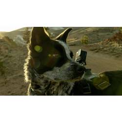 GoPro HERO Sportovní outdoorová kamera 4K, 2,7K, Full HD, stabilizace obrazu, Bluetooth, odolné proti prachu, odolné proti vodě, Wi-Fi, zpomalený pohyb