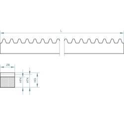 polyacetalová pryskyřice Reely Typ modulu: 0.5 (d x š x v) 250 x 4 x 4.5 mm