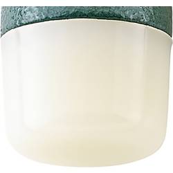 Stahlwille 10956R 40 ERSATZ-NYLONKOPF ZU HAMMER NO. 10956 79050040 náhradní hlava 31 g 1 ks