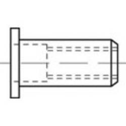 TOOLCRAFT TO-5444238 slepá nýtovací matice M6 ocel 250 ks