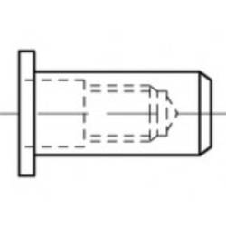 TOOLCRAFT TO-5444295 slepá nýtovací matice M8 ocel 200 ks