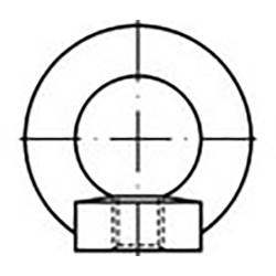 TOOLCRAFT TO-6855684 závěsná oka M6 DIN 582 ocel pozinkované 25 ks