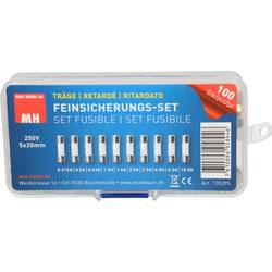 Max Hauri 135395 sada trubičkových pojistek (Ø x d) 5 mm x 20 mm T pomalá Množství 100 ks