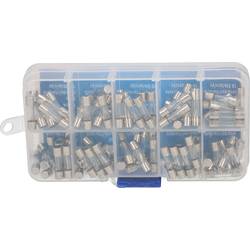 Max Hauri 135395 sada trubičkových pojistek (Ø x d) 5 mm x 20 mm T pomalá Množství 100 ks