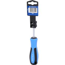 Brilliant Tools BT031014 TX šroubovák Velikost šroubováku T 25 Délka dříku: 100 mm 1 ks