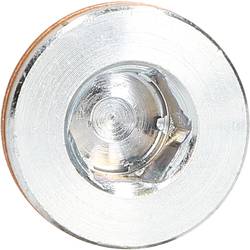 KS Tools 4300601 Zátka M24 x 1,5 x 16 mm pro RENAULT