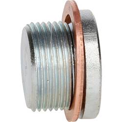 KS Tools 4300604 Zátka M24 x 1,5 x 18 mm pro RENAULT