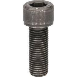 Šroub M22 x 60 mm KS Tools 440.0366