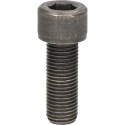 Šroub M22 x 60 mm KS Tools 440.0366