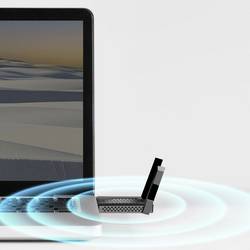 LogiLink WL0250 Wi-Fi adaptér USB-A 2976 MBit/s