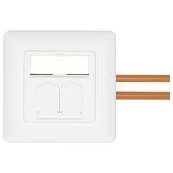 Digitus DN-9010/8-2 síťová zásuvka pod omítku panel s čelní deskou a rámečkem CAT 6A bílá