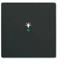 Busch-Jaeger 1násobné kryt symbol světlo free@home černá, sytá černá (RAL 9005) 2CKA006220A0499 1 ks