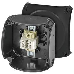 Hensel 62000339, 62000339 rozvodnice, IP66, 93.00 mm x 93.00 mm x 62.00 mm, 1 ks