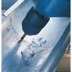 Bosch Accessories 2608597590 HSS oboustranný vrták 4.2 mm Celková délka 55 mm broušený válcová stopka 10 ks