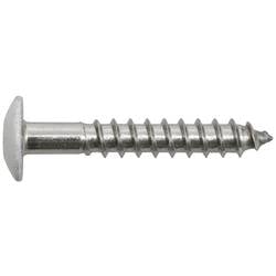 SWG 2115555619 vrut na dřevěné fasády 5.5 mm 55 mm vnitřní korunka šestihranná Ušlechtilá ocel V4A A4 200 ks