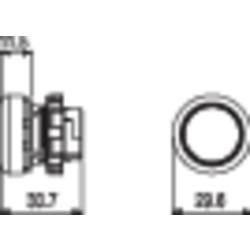 Pizzato Elettrica E21PL2R2210 E21PL2R2210 tlačítko černá 1 ks