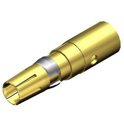 Molex 1731120674 zásuvkový kontakt 1 ks