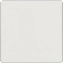 Siemens spínací program kryt přepínač, vypínač, křížový spínač bílá 5TG6201 1 ks