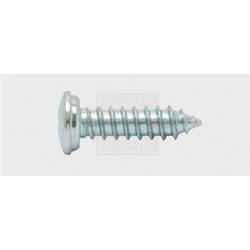 SWG 4009146208895 šrouby do nástěnných štítků 5.5 mm 25 mm křížová drážka Philips ocel pozinkované 100 ks
