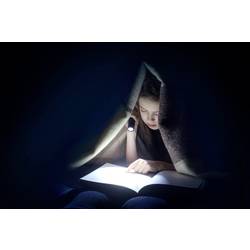 Ansmann Daily Use 50B 1600-0426 LED kapesní svítilna na baterii 56 lm 16.5 h 41 g