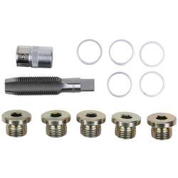 KS Tools 1504930 Sada šroubů se závitem a olejovými šrouby, 12 ks M17 x 1,5
