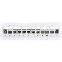 Digitus DN-93706 12 portů síťový patch panel nevybavený specifikací 1 U vícebarevná neosazený