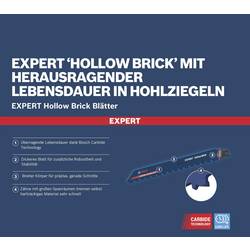 Bosch Accessories 2608900416 Plátek šalové pily Délka řezacího listu 240 mm 10 ks