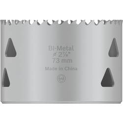 Bosch Accessories 2608901525 2608901525 vrtací korunka 73 mm 1 ks