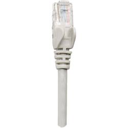 Intellinet 317108 RJ45 síťové kabely, propojovací kabely CAT 6A S/FTP 1.00 m šedá jednoduché stínění, kompletní stínění, bez halogenů 1 ks