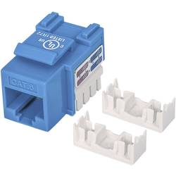 Intellinet 210737 RJ45 vestavný modul Keystone CAT 6 1 ks