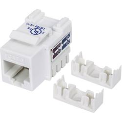 Intellinet 210591 RJ45 vestavný modul Keystone CAT 6 1 ks