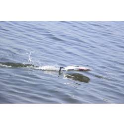 Joysway Magic Cat V6 RC model motorového člunu 100% RtR 265 mm