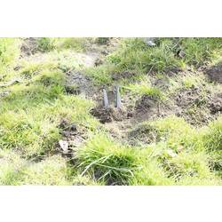 Gardigo 70070, past na hraboše 1 ks