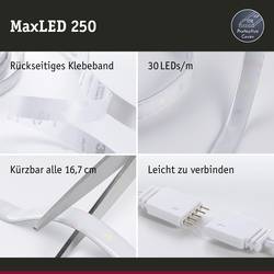 Paulmann 79872 LED pásek základní sada konektor 24 V 1.5 m denní bílá 1 sada