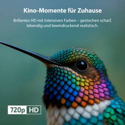 Dyon nexGo 32H LED TV 80 cm 32 palec Energetická třída (EEK2021) E (A - G)