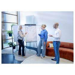 Legamaster flipchart SKETCH PRO (š x v x h) 845 x 1870 x 775 mm omyvatelný, popisovatelný, výškově nastavitelný, vč. držáku bloku 7-152910