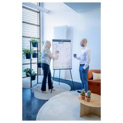Legamaster flipchart SKETCH PRO (š x v x h) 845 x 1870 x 775 mm omyvatelný, popisovatelný, výškově nastavitelný, vč. držáku bloku 7-152910