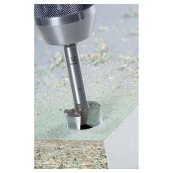 Alpen 0023601200100 Foersterův vrták, čelní fréza 12 mm Celková délka 90 mm 1 ks