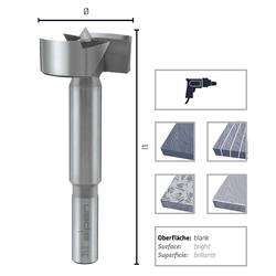 Alpen 0023601200100 Foersterův vrták, čelní fréza 12 mm Celková délka 90 mm 1 ks