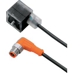 E10817 E10817 ifm Electronic Množství: 1 ks